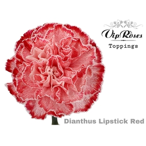 Di St Vip Lipstick Red