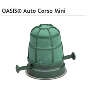 OASIS 11-03033 AUTOCORSO MINI