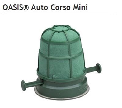 <h4>OASIS 11-03033 AUTOCORSO MINI</h4>