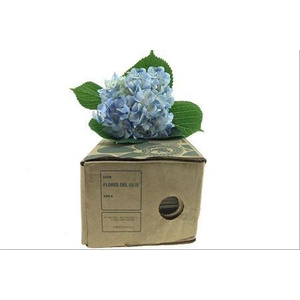 Hydr ( Box ) Blue