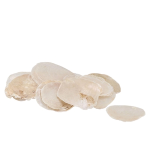 Shells Placuna White P/1kg