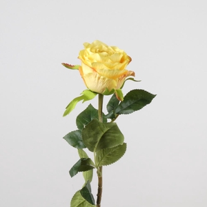 AF Rosa L68cm Yellow