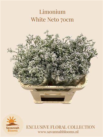<h4>Lim White Neto</h4>