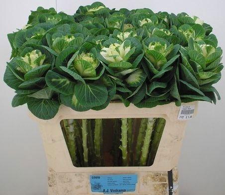 <h4>BRASS WHITE CRANE</h4>