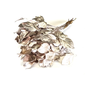 Salal tips dried per bunch Champagne