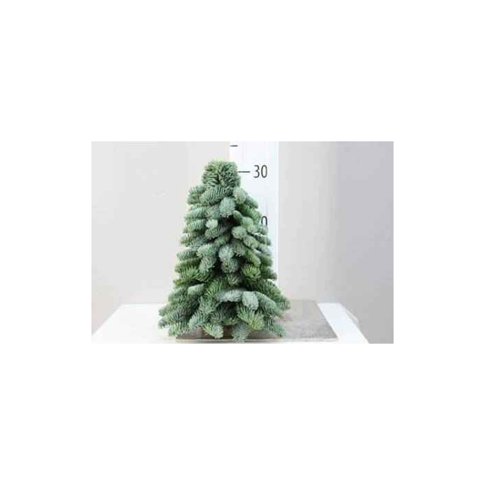 <h4>KERSTBOOM 30CM</h4>