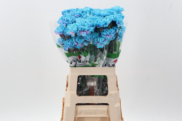 <h4>Di St Tinted BubbleGum</h4>