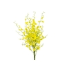 ONCIDIUM HONEY ANGEL 050 CM AMARELO