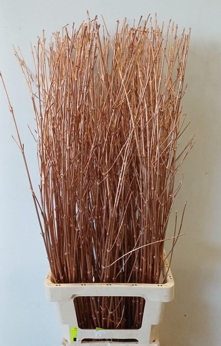 <h4>DECOGROEN OV KLB H%</h4>