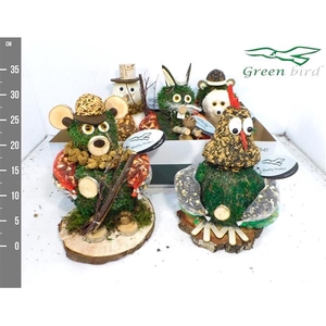 Dieren mos berk winter mix