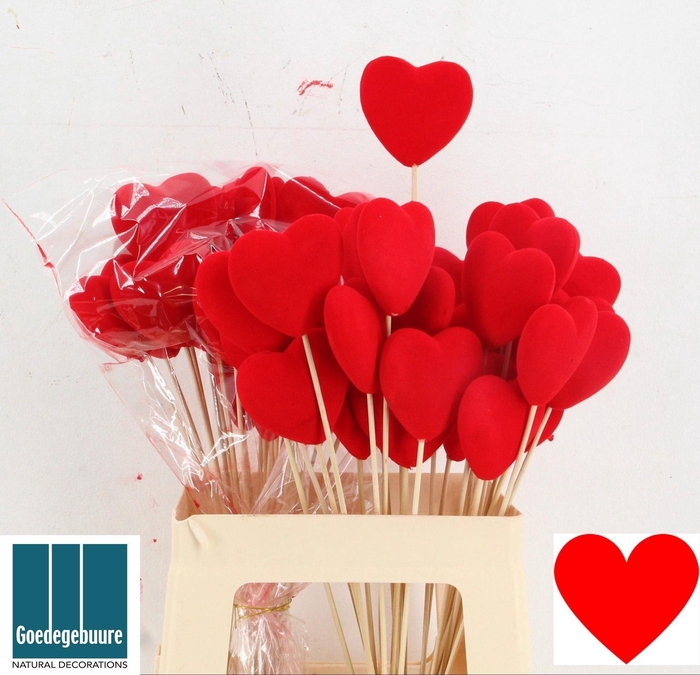 <h4>HARTJE OP STOK H%</h4>