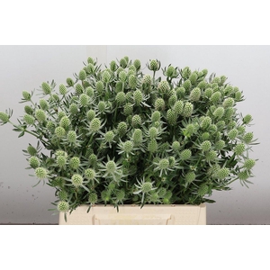 Eryn White Glitter 40cm