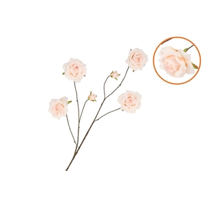 Silk Roses Wild Peach 126cm Nm