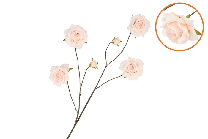 <h4>Silk Roses Wild Peach 126cm Nm</h4>
