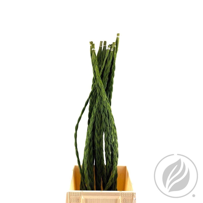 <h4>Braids 70cm</h4>