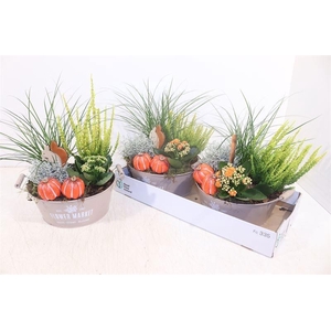 ARR TUINPLANTEN