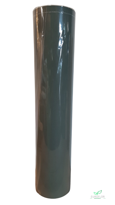 KRAFTPAPIER 6KG 60 CM SAGE