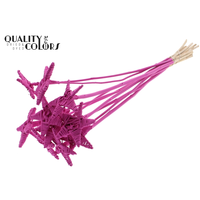 <h4>Lata Star on stem Covered Cerise</h4>