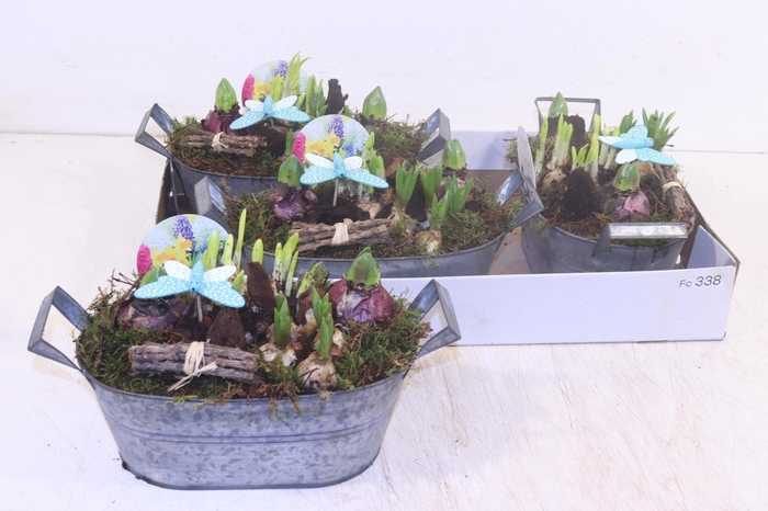 <h4>ARR BOL KNOLGEWAS</h4>