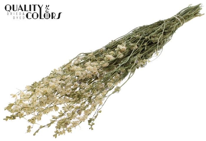 <h4>Delphinium Dried per bunch White</h4>