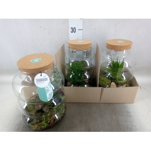 Arr.   Planten H%