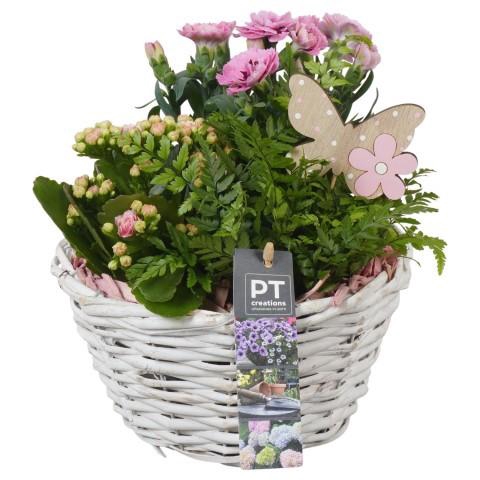 <h4>PTPP6962 Arrangement Patio in rieten mand</h4>