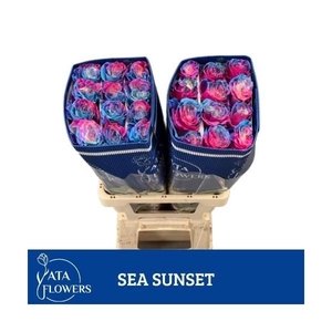 R Gr Klb H% Sea Sunset