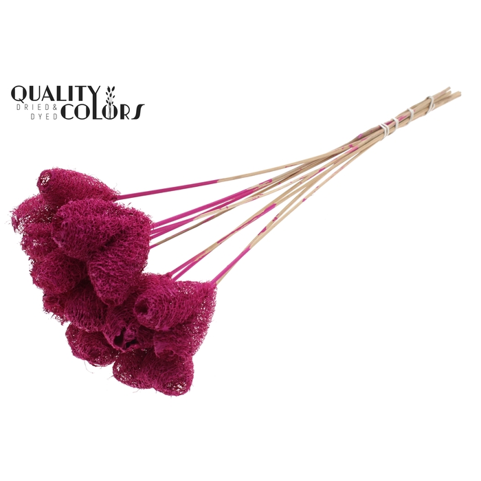 <h4>Luffa Heart on stem Lilac</h4>