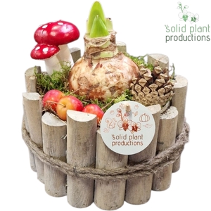 AH001 Amaryllis Milano Small Grey