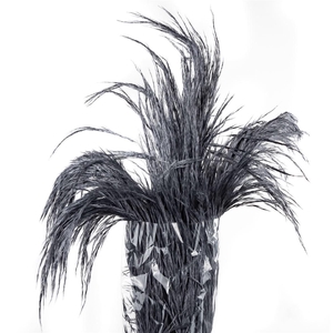 Pampas Preserved Cool Gray