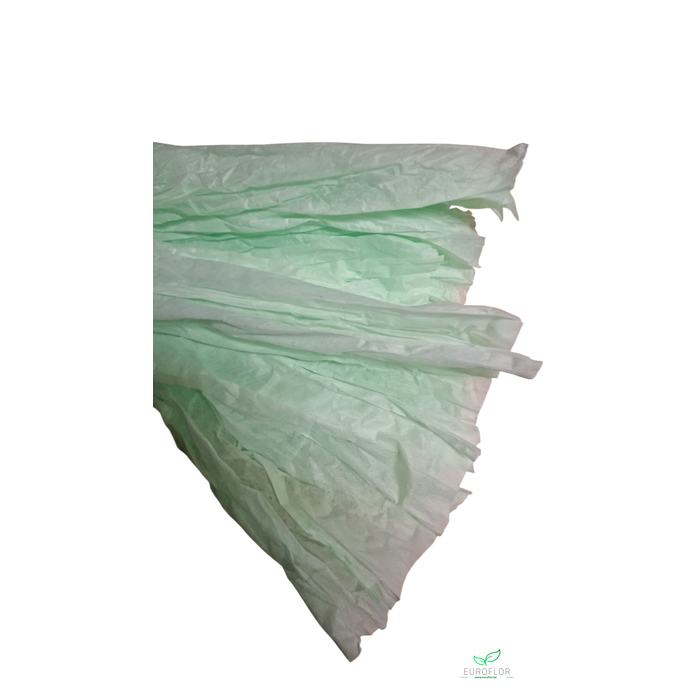 <h4>NON WOVEN SHEETS 50CMX1,5M MINT 5PCS</h4>