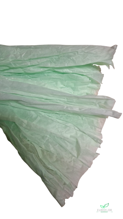 NON WOVEN SHEETS 50CMX1,5M MINT 5PCS