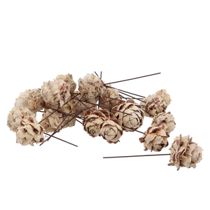 Pick Nature Pine Cone Pubescens White P/100