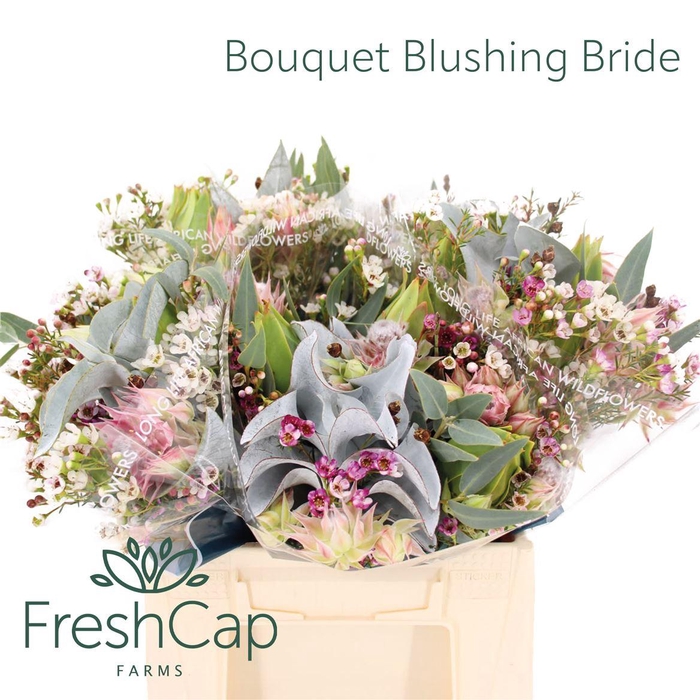 <h4>Bouquet Blushing Bride</h4>