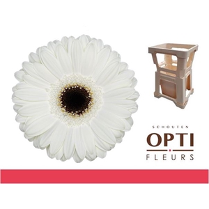 GE GR WHITE HOUSE-Water