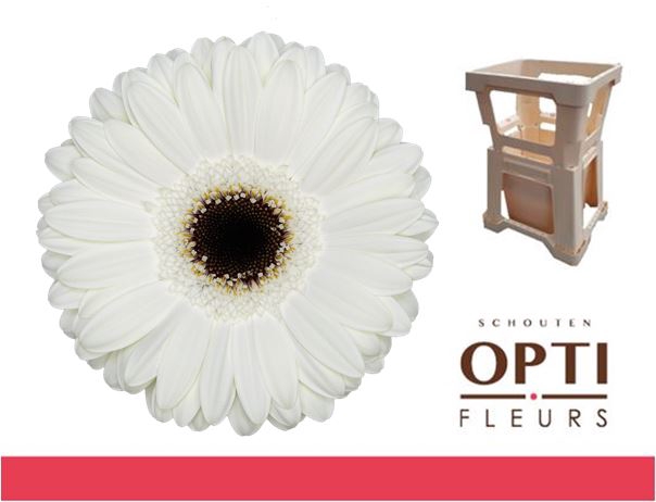 <h4>GE GR WHITE HOUSE-Water</h4>