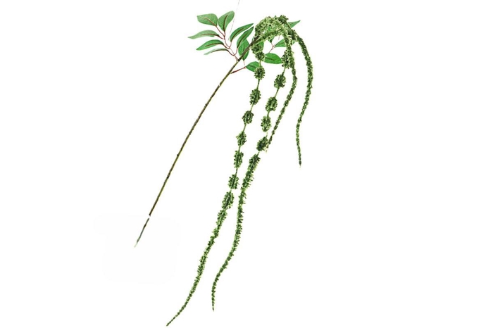 <h4>Amaranthus Spray Green FL440079GRN</h4>