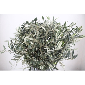 Olive 400gr P/b