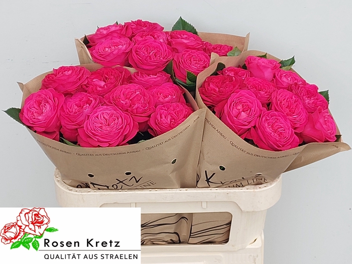 <h4>R GR GIRLFRIEND</h4>