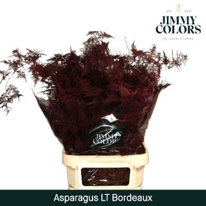 Aspa lang getopt Bordeaux