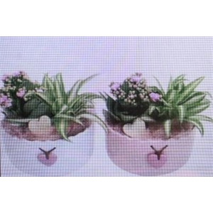 5471 Ker Schaal Valentijn