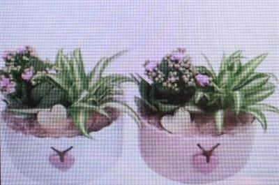 <h4>5471 KER SCHAAL VALENTIJN</h4>