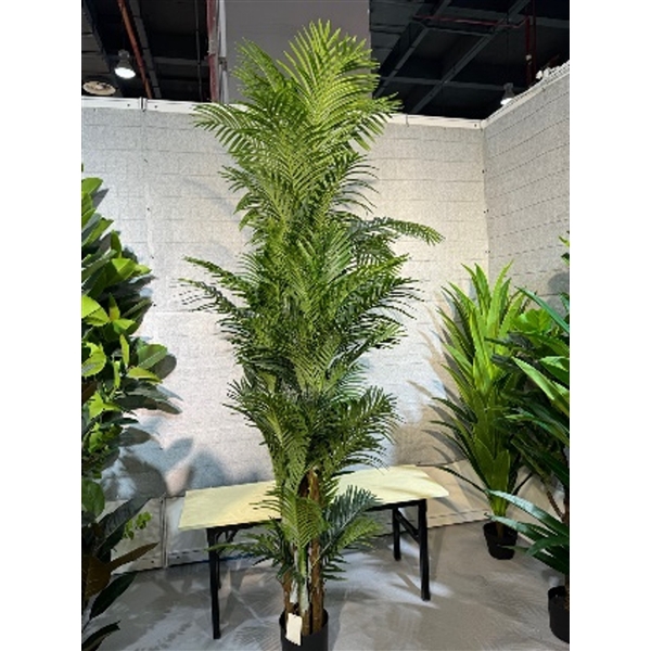 <h4>Plant Areca4 palm 240cm in pot green</h4>