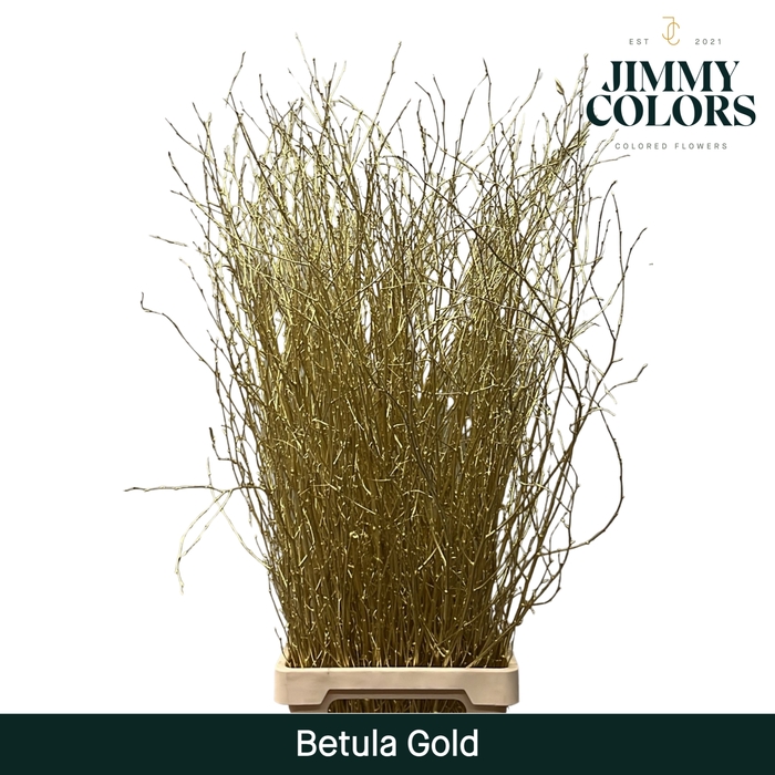 <h4>Betula L120 Mtlc. Gold</h4>