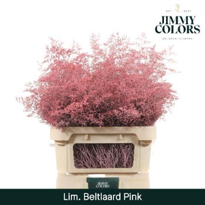 Lim Bel L90 Pink
