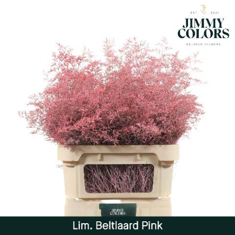 <h4>Lim Bel L90 Pink</h4>