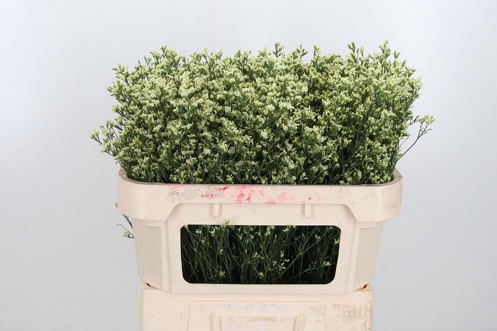 <h4>Lim Sin Sen Lemonade</h4>