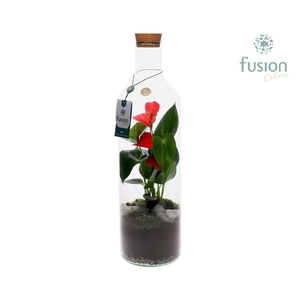 Green Bottle Fles Large met Anthurium