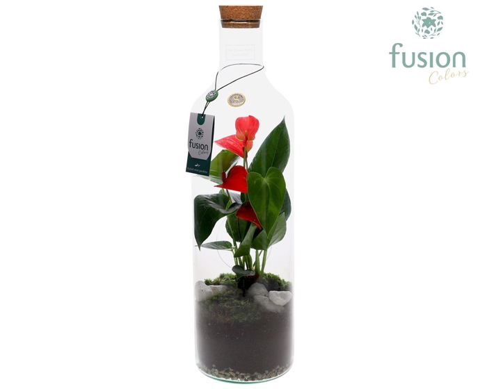 <h4>Green Bottle Fles Large met Anthurium</h4>