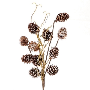 Pine cone Branch Austria pinecone 25cm